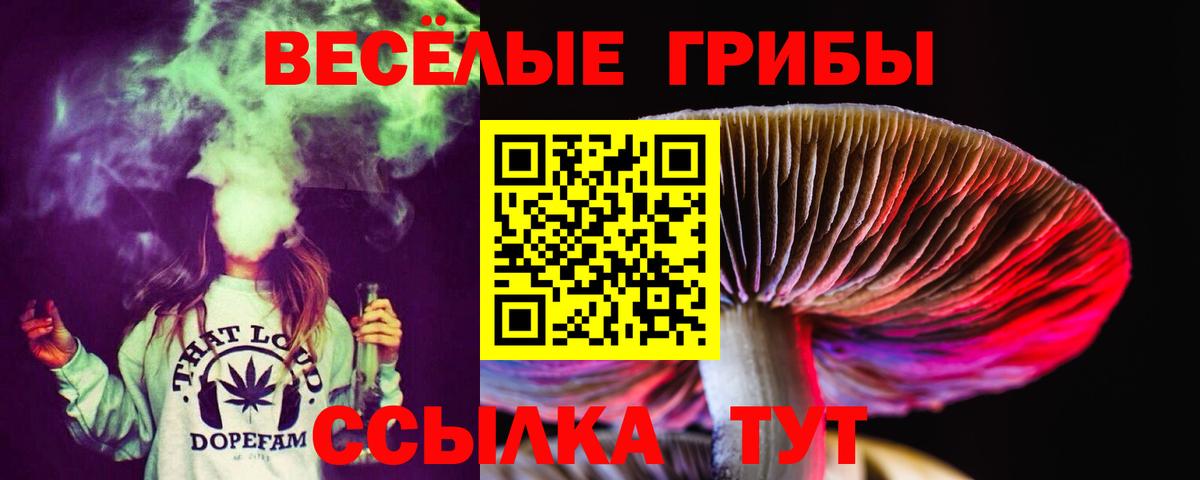 Галлюциногенные грибы Psilocybine cubensis Уварово